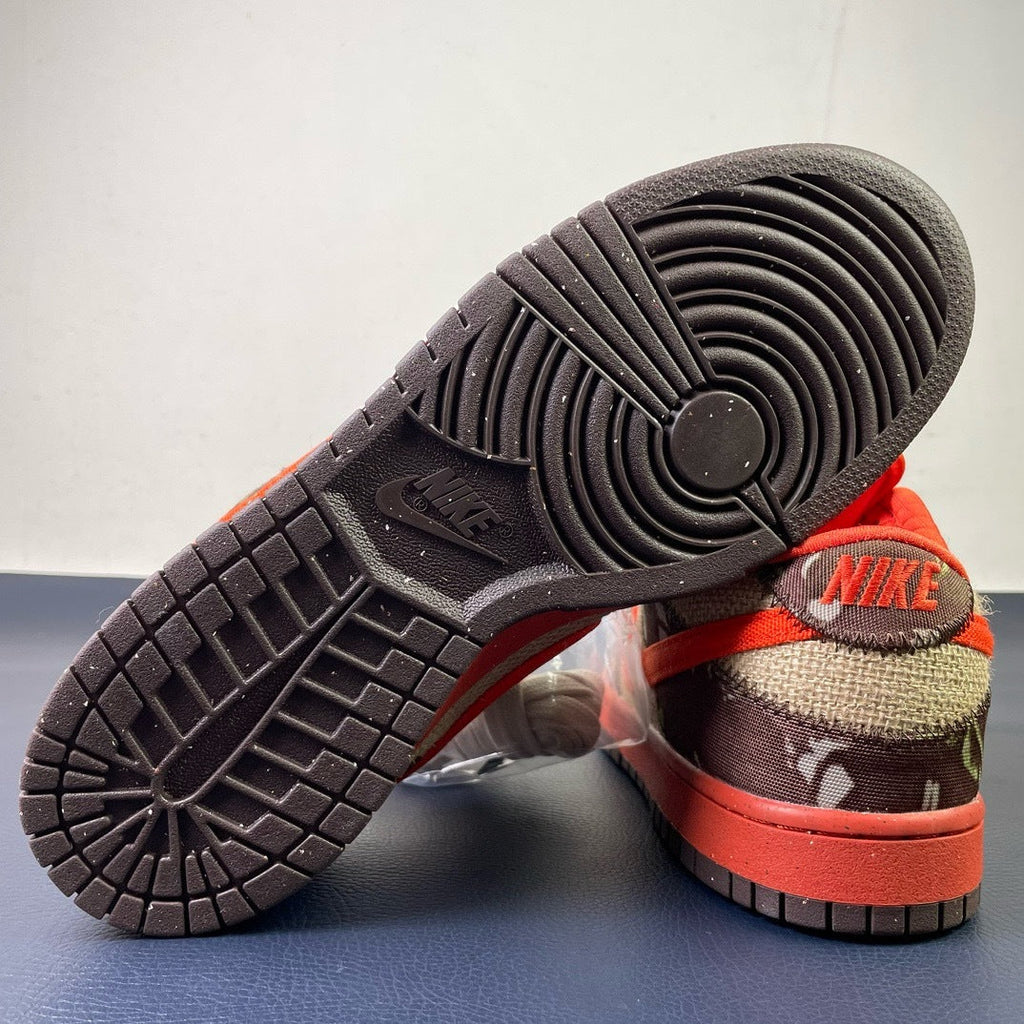 Nike SB Dunk Low Cheech and Chong - toe view pair with extra laces