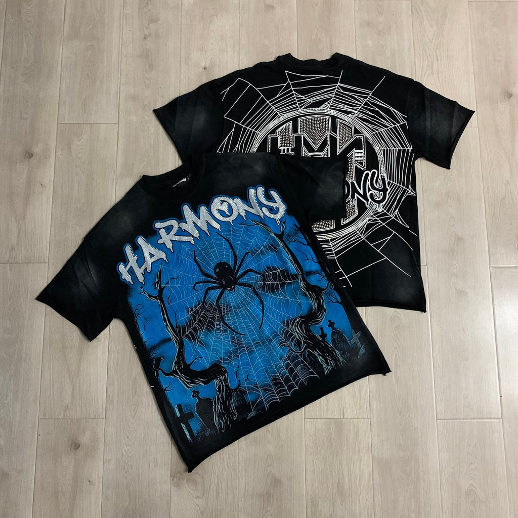 Harmony Spider Web Graphic Tee