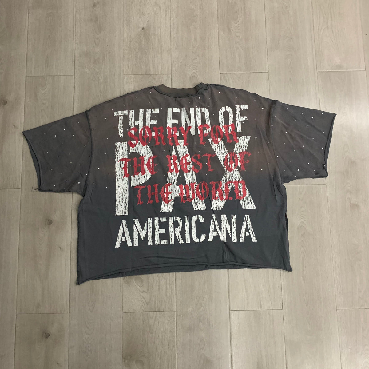 Rough Play Pax Americana T-Shirt back