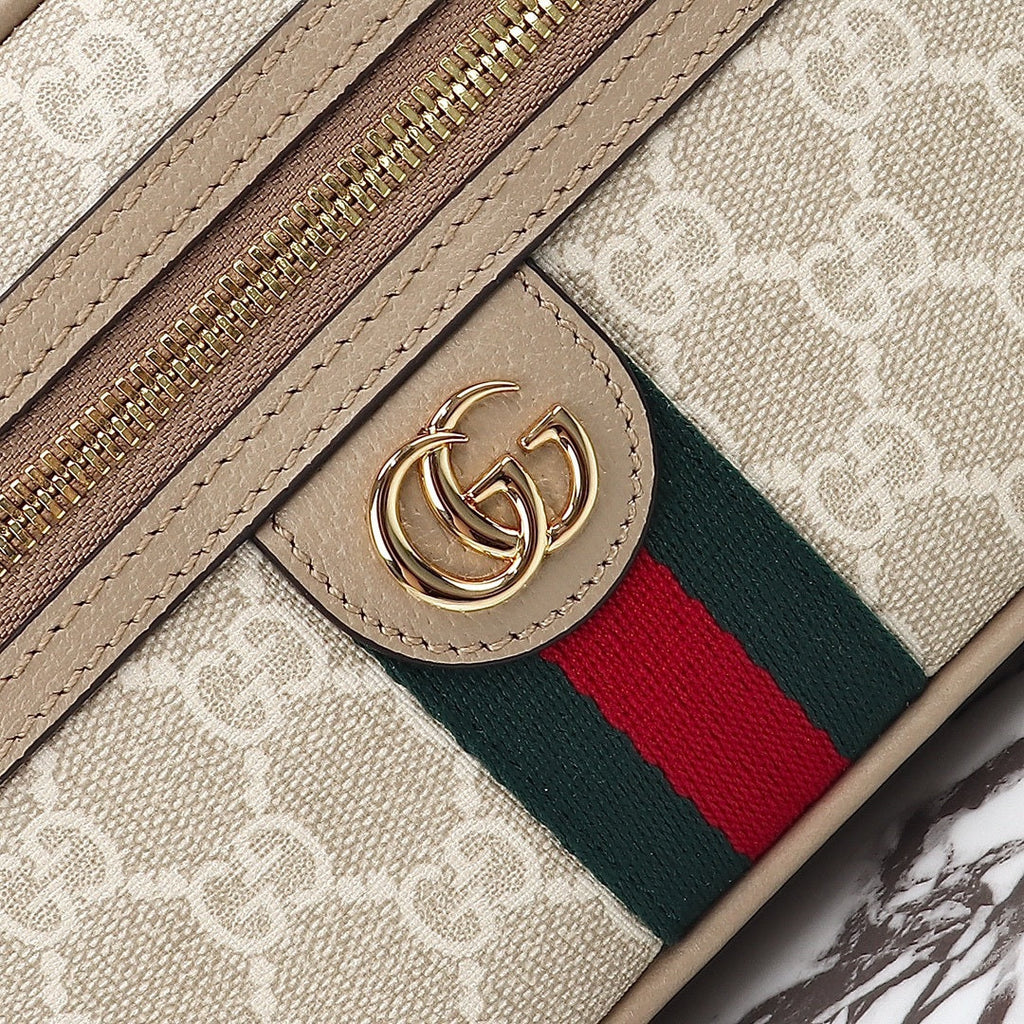 Gucci Ophidia mini bag front view